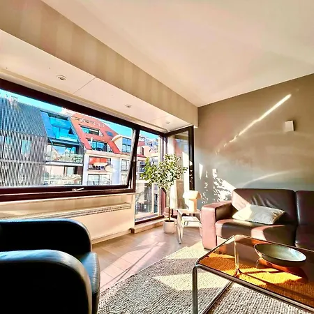 Apartamento Ravenlingen I Laan 50 M De La *